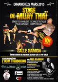 - Dimanche 22 Mars 2015 - Salle Hamon à Montauban de Bretagne  STAGE DE MUAY THAI  - Stage technique et technicotactique avec Fred Dejonghe ; entraineur de l'AS cobra